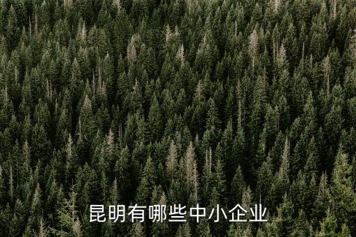 中小企業(yè)，云南省紅河州有哪些中小企業(yè)