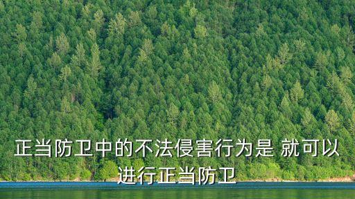 正當(dāng)防衛(wèi)中的不法侵害行為是 就可以進行正當(dāng)防衛(wèi)