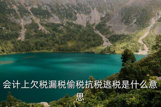 會計(jì)上欠稅漏稅偷稅抗稅逃稅是什么意思
