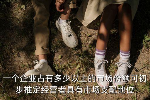 一個企業(yè)占有多少以上的市場份額可初步推定經(jīng)營者具有市場支配地位
