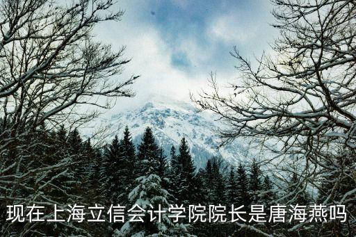 唐海燕，現(xiàn)在上海立信會(huì)計(jì)學(xué)院院長(zhǎng)是唐海燕嗎