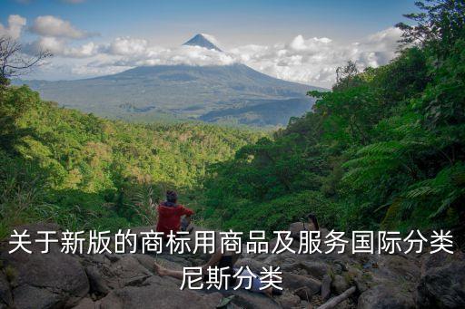 商標(biāo)國際分類，關(guān)于新版的商標(biāo)用商品及服務(wù)國際分類尼斯分類