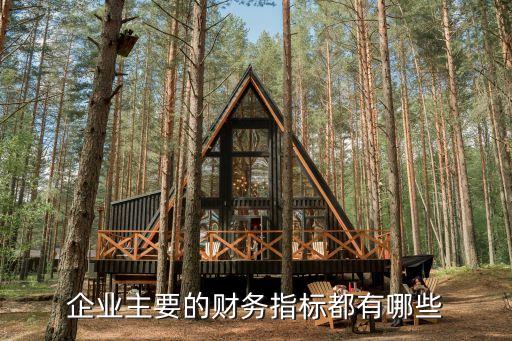 財(cái)務(wù)指標(biāo)有哪些，一個(gè)企業(yè)的關(guān)鍵財(cái)務(wù)指標(biāo)有哪些