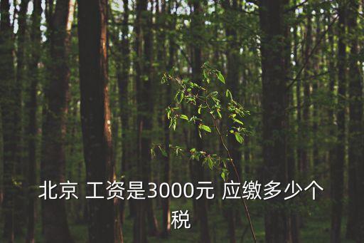 北京 工資是3000元 應(yīng)繳多少個稅