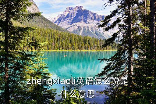 鄭曉麗，風(fēng)中玫瑰鄭曉麗扮演者是誰