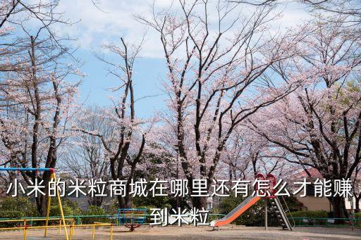 小米的米粒商城在哪里還有怎么才能賺到米粒