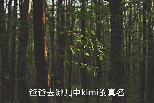 爸爸去哪兒中kimi的真名