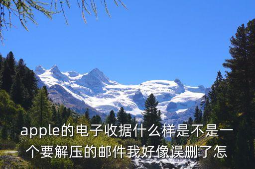 apple的電子收據(jù)什么樣是不是一個要解壓的郵件我好像誤刪了怎