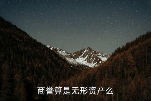 商譽算是無形資產(chǎn)么