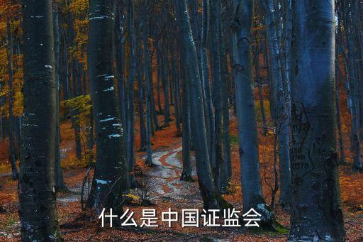 什么是中國證監(jiān)會(huì)