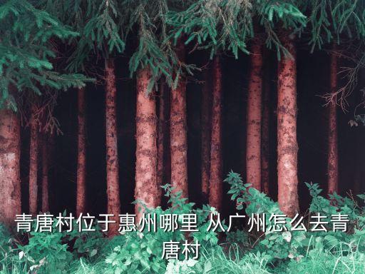 青唐，南寧到青唐多少公里