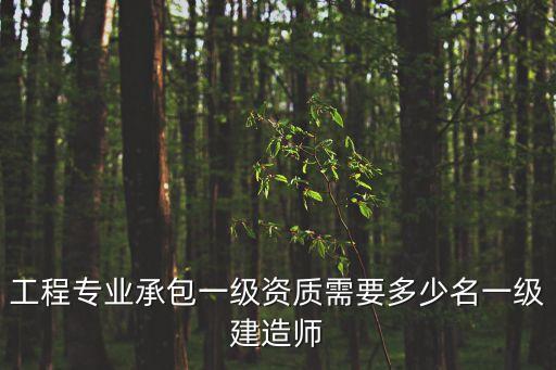 工程專業(yè)承包一級資質(zhì)需要多少名一級建造師