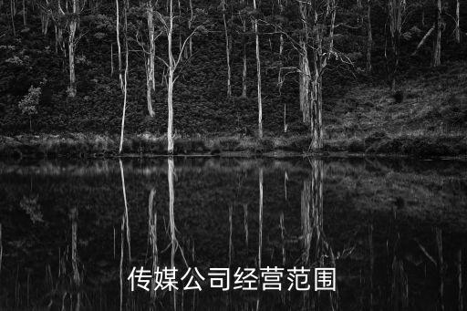 傳媒公司經(jīng)營范圍
