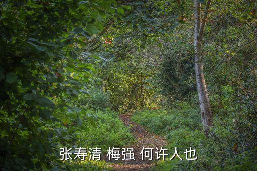 梅強(qiáng)，張壽清 梅強(qiáng) 何許人也