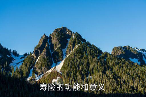 壽險的意義，怎么更好的講壽險的意義與功用謝謝