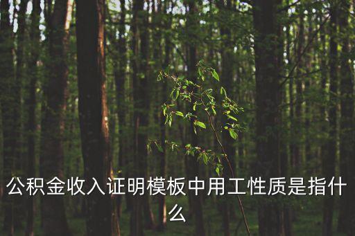用工性質(zhì)，用工性質(zhì)是什么啊謝謝了大神幫忙啊