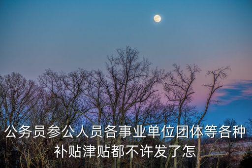 違規(guī)發(fā)放津貼補(bǔ)貼行為處分規(guī)定，違反有關(guān)規(guī)定自定薪酬或者濫發(fā)津貼補(bǔ)貼獎(jiǎng)金等對(duì)直接責(zé)任者