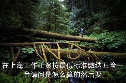 上海五險(xiǎn)一金計(jì)算，上海工作上個(gè)月工作十天工資6500五險(xiǎn)一金請(qǐng)問(wèn)一個(gè)月交多少