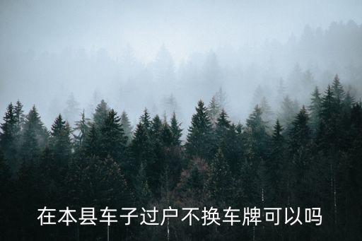 只變更車主不換車牌，過(guò)戶可以不換車牌嗎