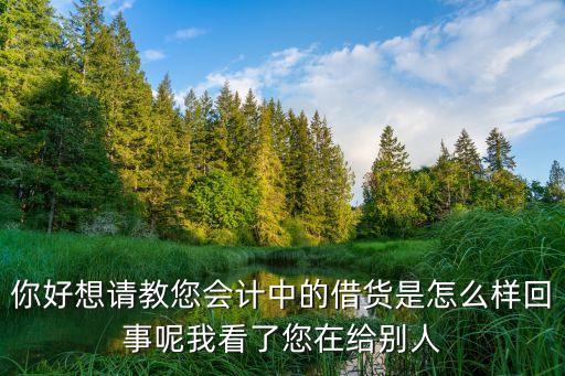 你好想請教您會計中的借貨是怎么樣回事呢我看了您在給別人
