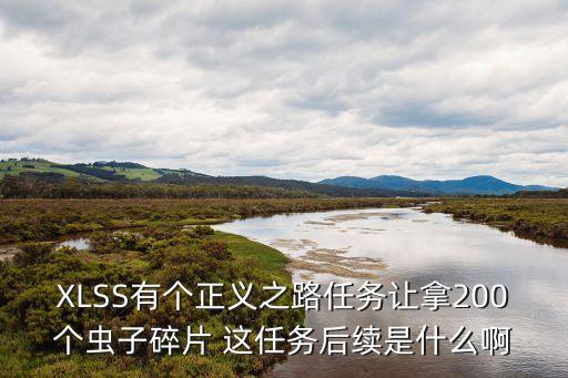 XLSS有個正義之路任務(wù)讓拿200個蟲子碎片 這任務(wù)后續(xù)是什么啊