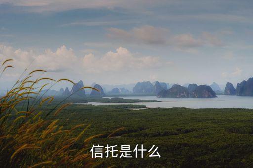 個人信托，什么是信托請用通俗易懂的語言回答最好能舉例說明謝謝