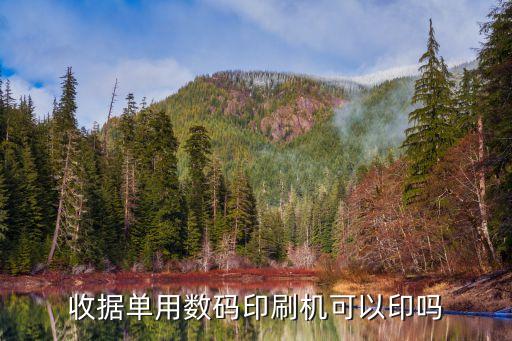 收據(jù)單用數(shù)碼印刷機(jī)可以印嗎