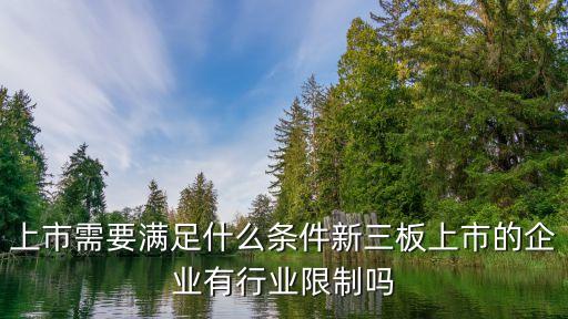 上市需要滿足什么條件新三板上市的企業(yè)有行業(yè)限制嗎