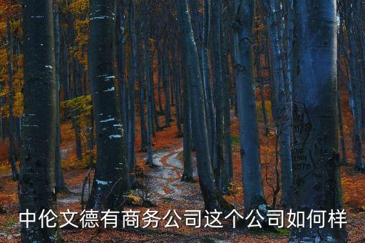 中倫文德，中倫文德有商務公司這個公司如何樣