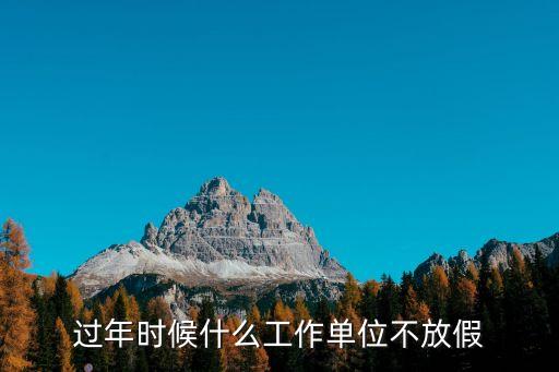 過年時候什么工作單位不放假