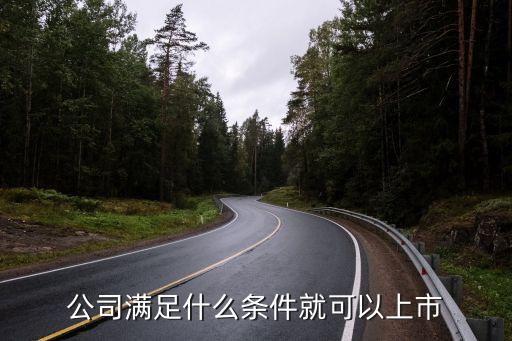 公司滿足什么條件就可以上市