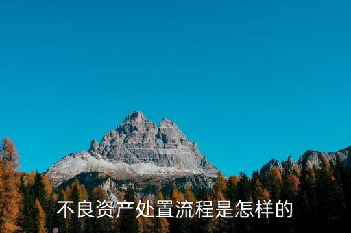 不良資產(chǎn)處置流程，一般銀行不良資產(chǎn)處理的流程都是什么