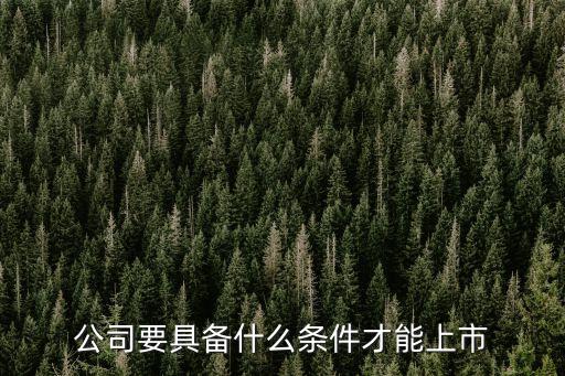 公司要具備什么條件才能上市