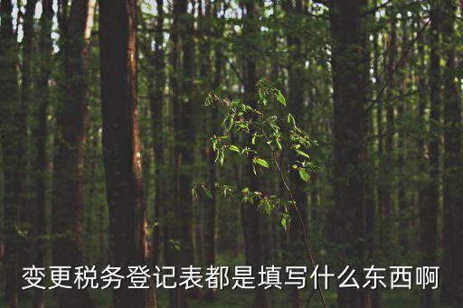 變更稅務(wù)登記表都是填寫什么東西啊