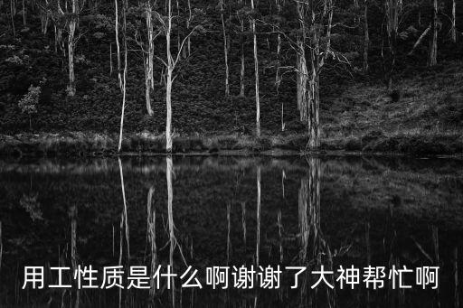 用工性質(zhì)是什么啊謝謝了大神幫忙啊