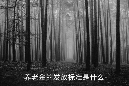 養(yǎng)老金的發(fā)放標準是什么