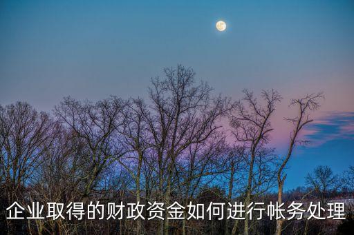 財(cái)政資金，什么叫做財(cái)政存量資金和增量資金