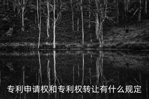 專利申請權(quán)和專利權(quán)轉(zhuǎn)讓有什么規(guī)定