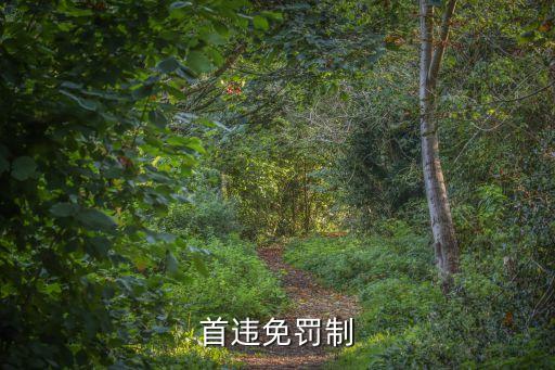 首違免罰，首次違章免罰用微信怎么操作