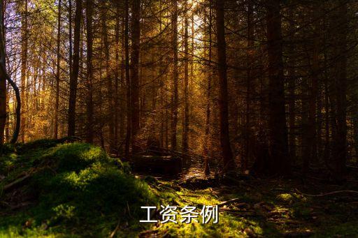 工資支付暫行規(guī)定，何為拖欠工資多久不發(fā)工資算拖欠