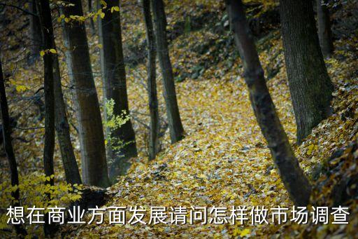 商業(yè)調(diào)查，想在商業(yè)方面發(fā)展請問怎樣做市場調(diào)查