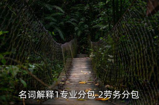 名詞解釋1專業(yè)分包 2勞務(wù)分包
