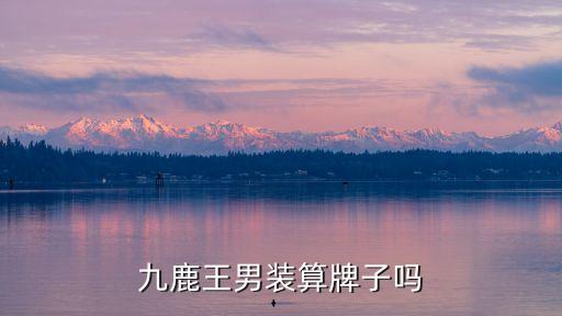 九鹿王男裝算牌子嗎