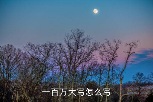 一百萬(wàn)大寫怎么寫