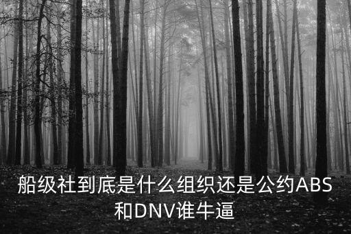 dnv船級社，船級社到底是什么組織還是公約ABS和DNV誰牛逼