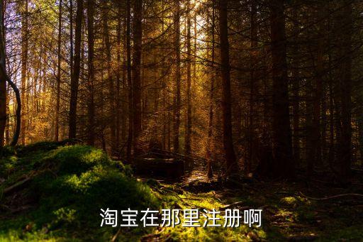 淘寶注冊(cè)地，天貓的網(wǎng)站注冊(cè)地在哪個(gè)城市