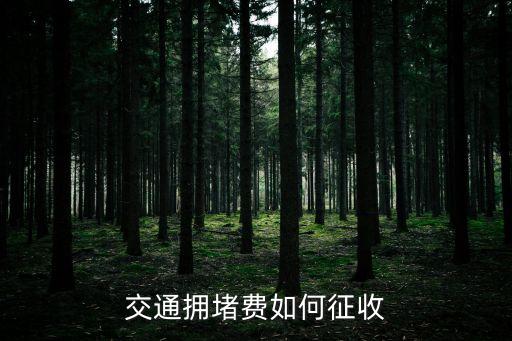 北京交通擁堵費(fèi)，交通擁堵費(fèi)如何征收