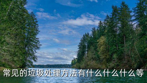 常見的垃圾處理方法有什么什么什么等