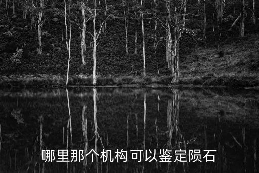 哪里那個(gè)機(jī)構(gòu)可以鑒定隕石