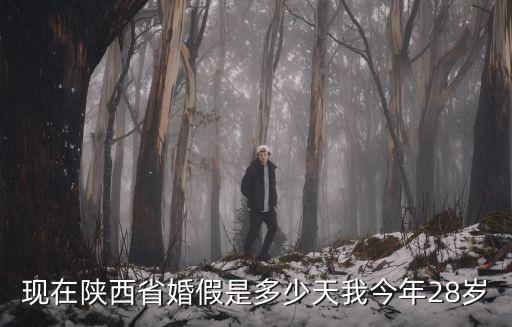 現(xiàn)在陜西省婚假是多少天我今年28歲